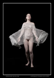 ellie silvered