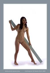angelique light blue plank