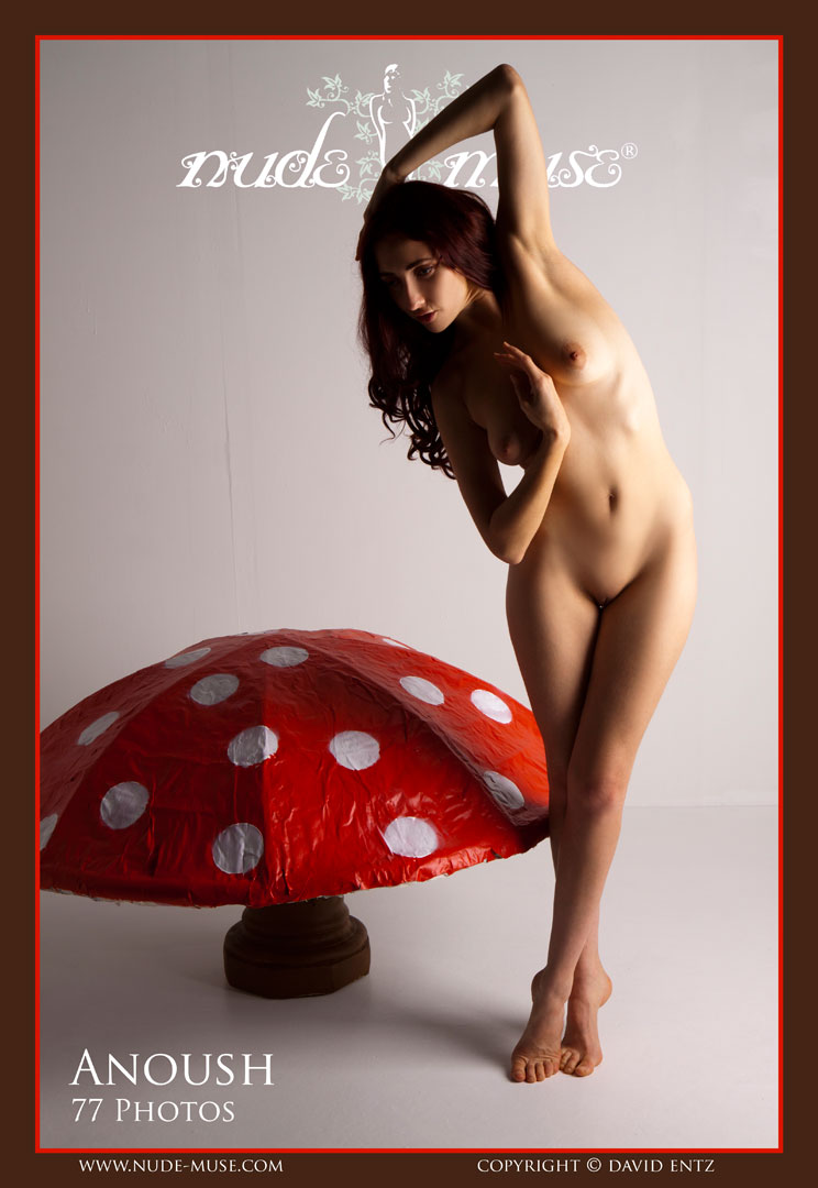 anoush red mushroom