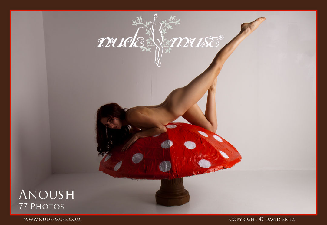 anoush red mushroom